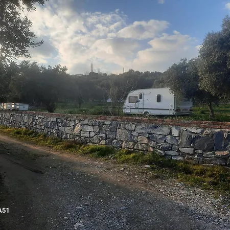 Ali Dede Camping