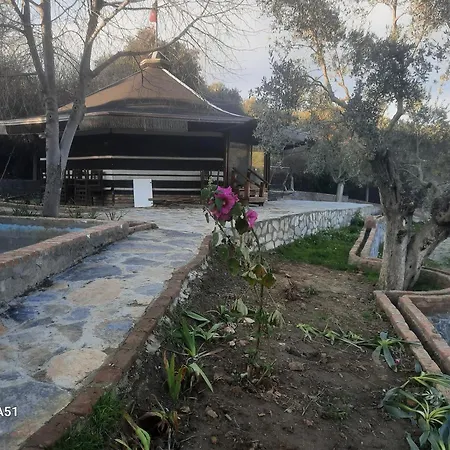 Ali Dede Kemping Kusadası