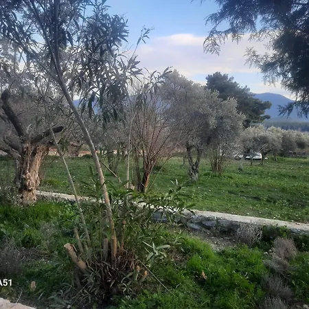 Camping Ali Dede Kuşadası
