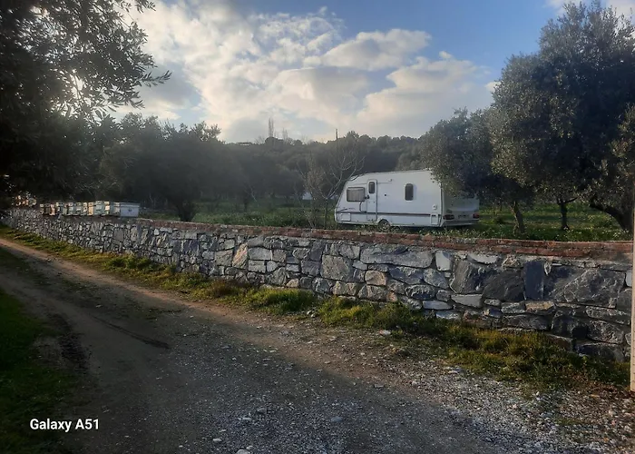 Ali Dede Camping