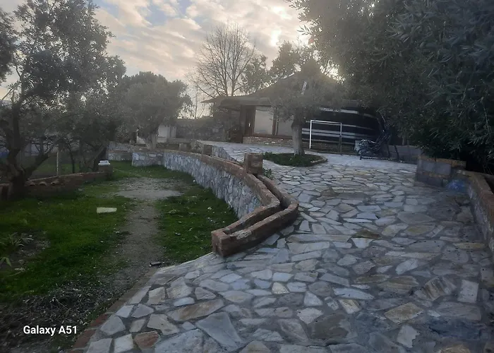 Ali Dede * Kuşadası
