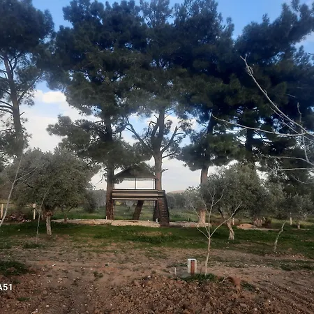 Ali Dede * Kusadası