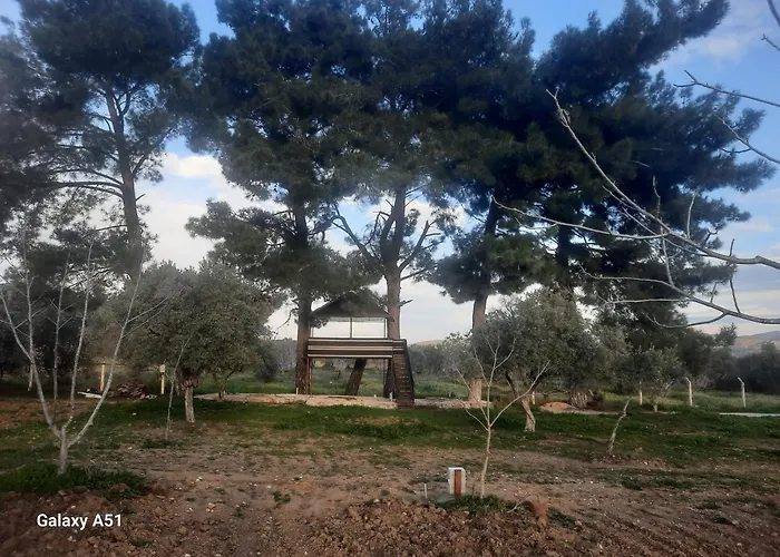 Ali Dede * Kusadası